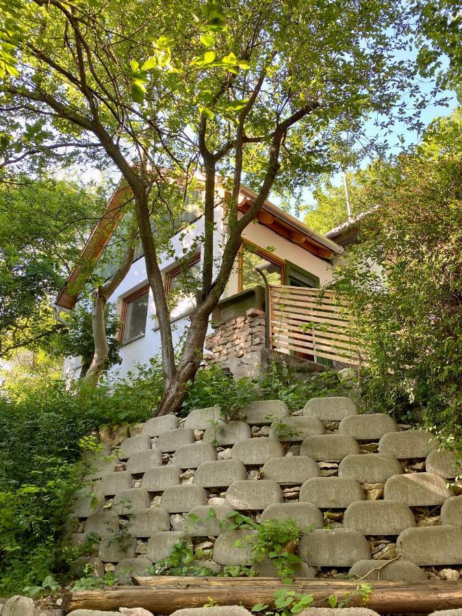 Rustic Cottage & Garden Retreat On Buda Hilltop 布达佩斯 外观 照片